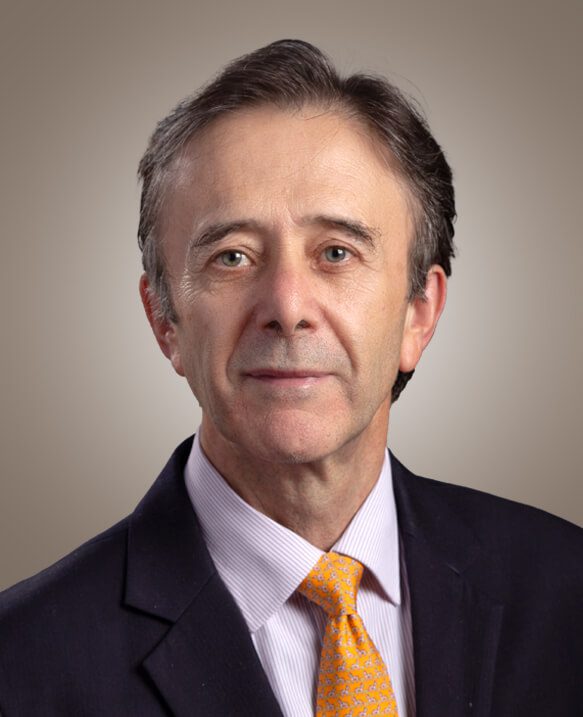 Es profesor decano del área de Dirección Financiera. Licenciado en Economía por el Instituto Tecnológico Autónomo de México (ITAM)