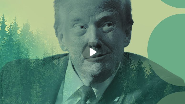 Desarrollo sostenible en la era de Trump