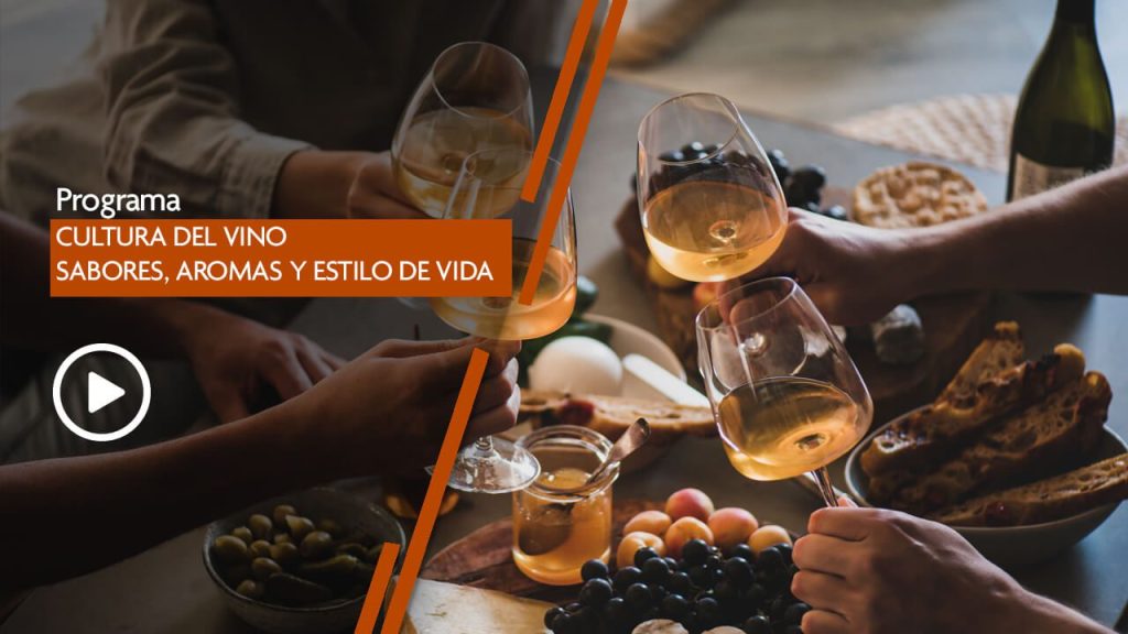 THUMBNAILS_Cultura del Vino