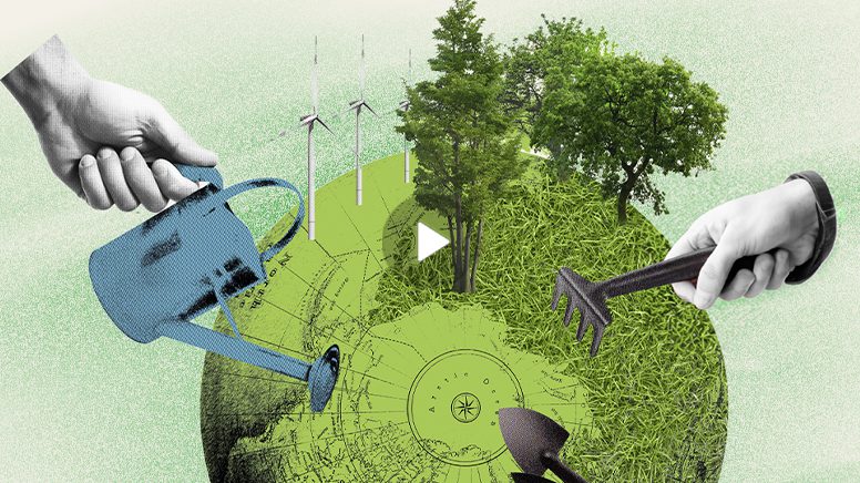 ¿Cómo se construye la identidad sustentable de una empresa?