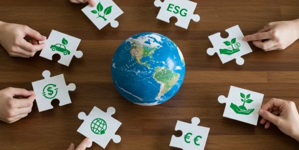 Sostenibilidad empresarial